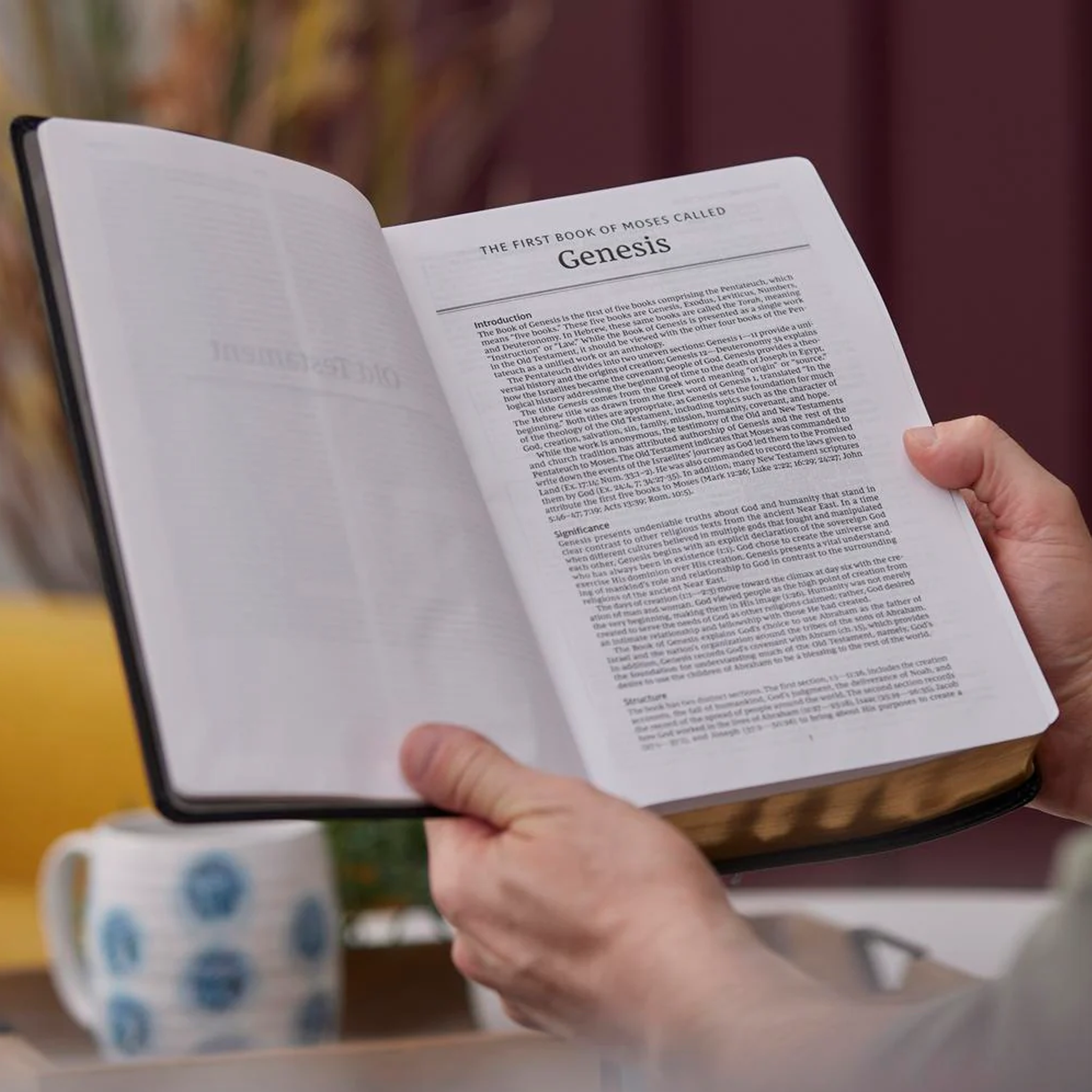 Encountering God Study Bible: Insights from Blackaby Ministries on Living Our Faith (Leathersoft)