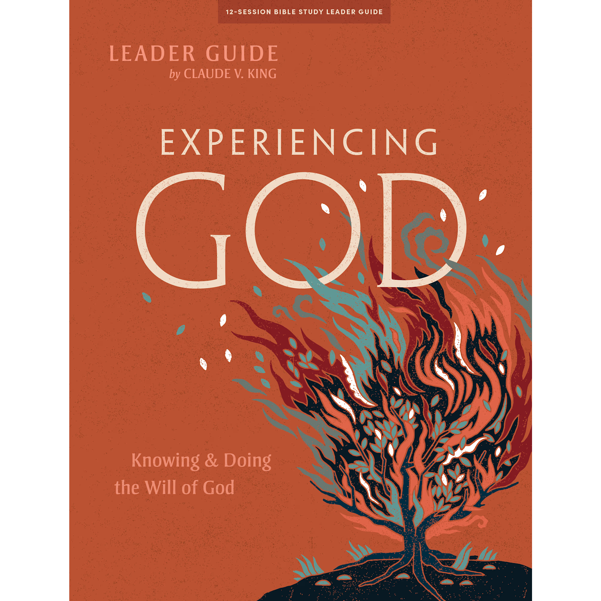 Experiencing God - Leader Guide (Paperback)