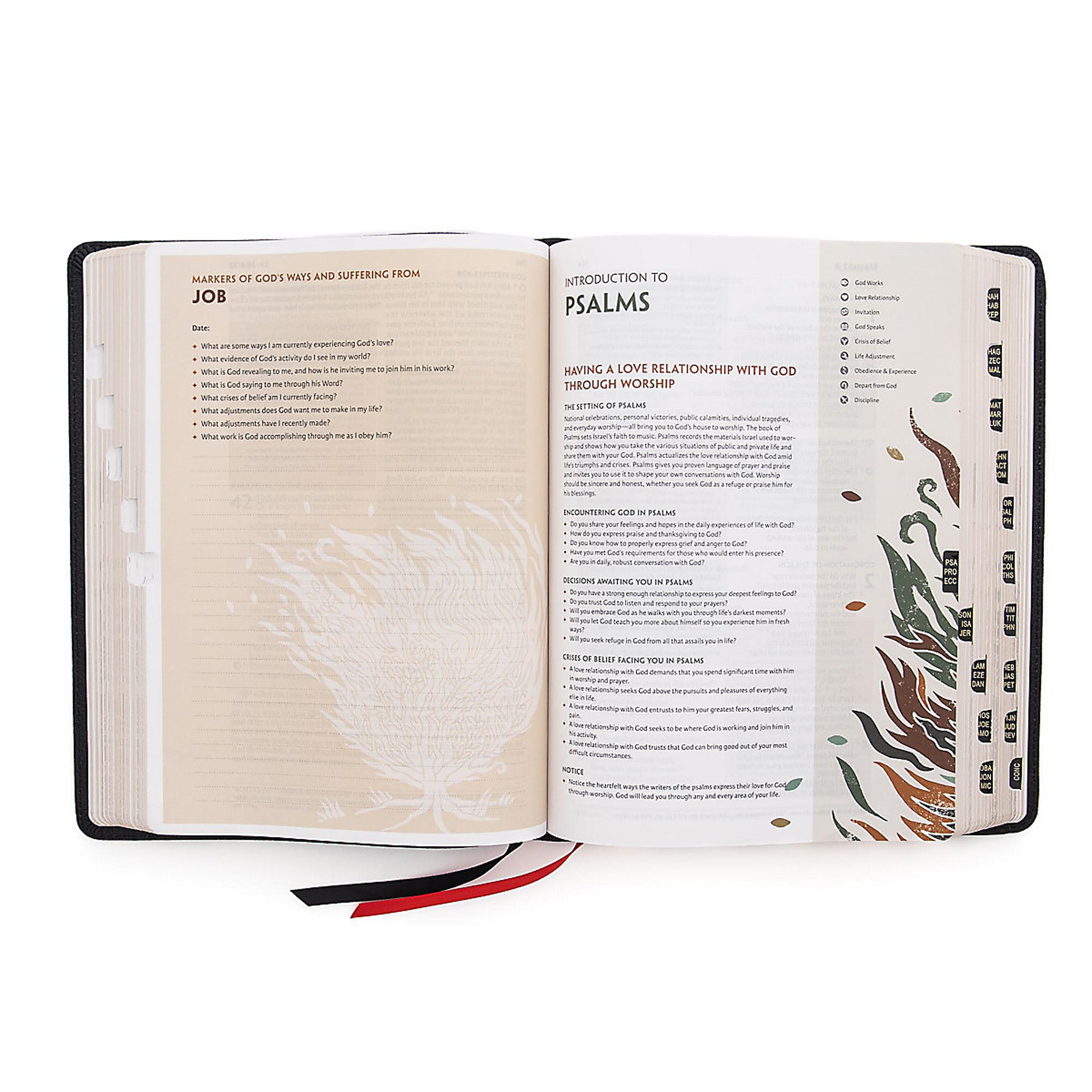 CSB Experiencing God Bible, Black, Genuine Leather