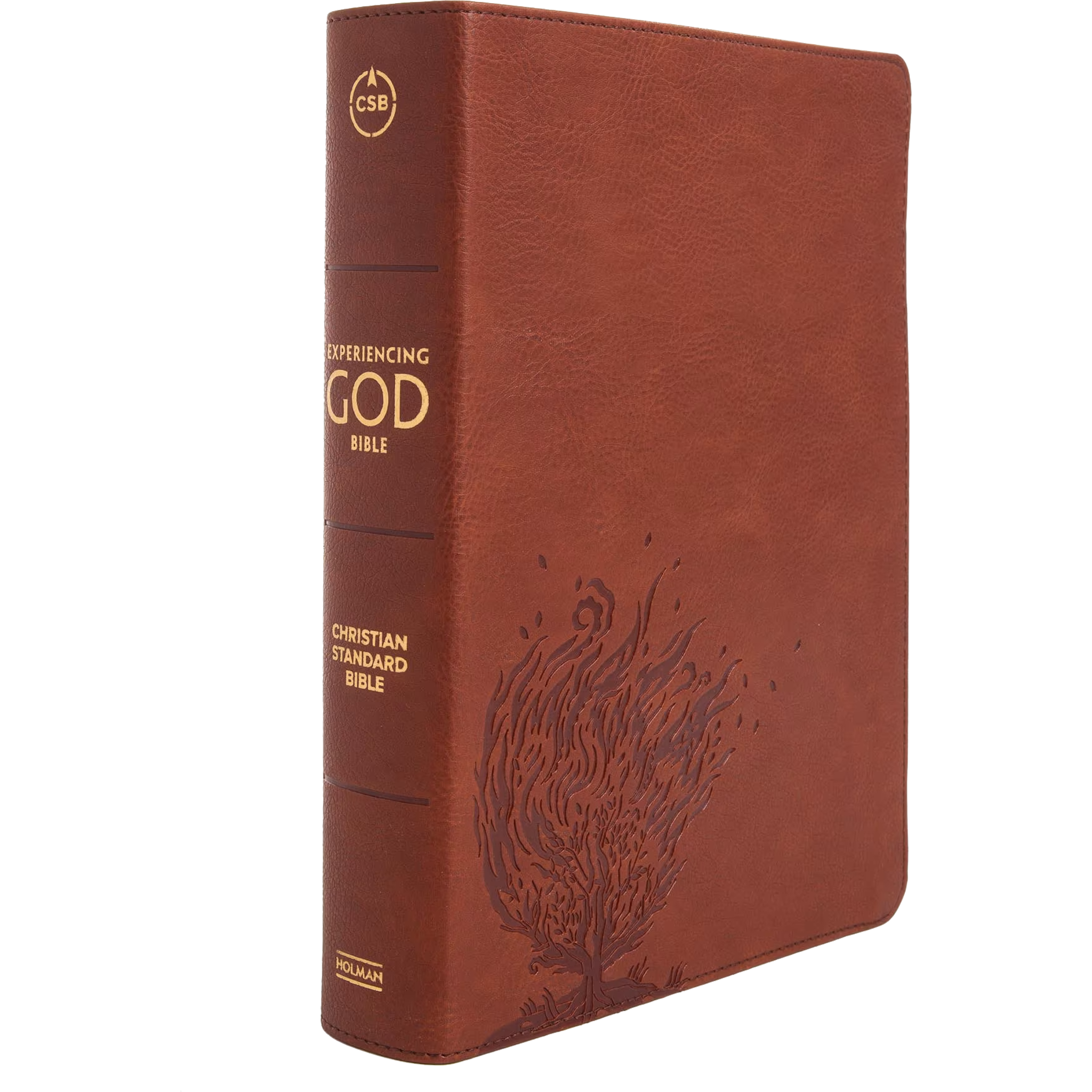 CSB Experiencing God Bible, LeatherTouch