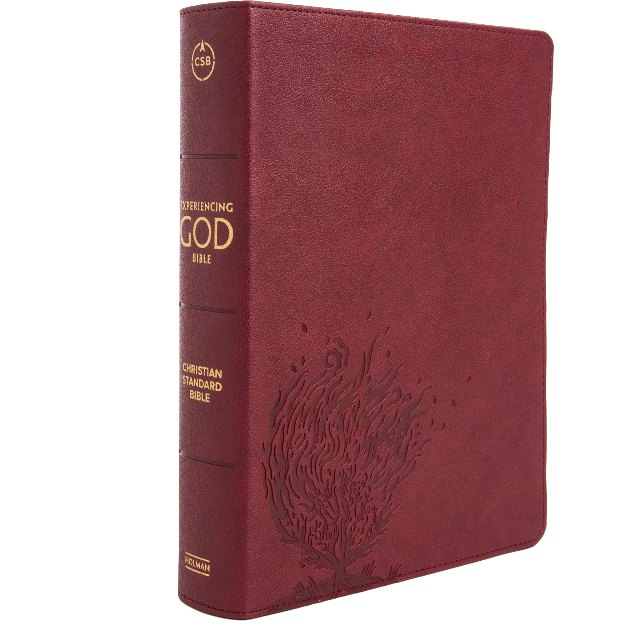 CSB Experiencing God Bible, LeatherTouch