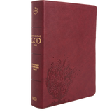 CSB Experiencing God Bible, LeatherTouch