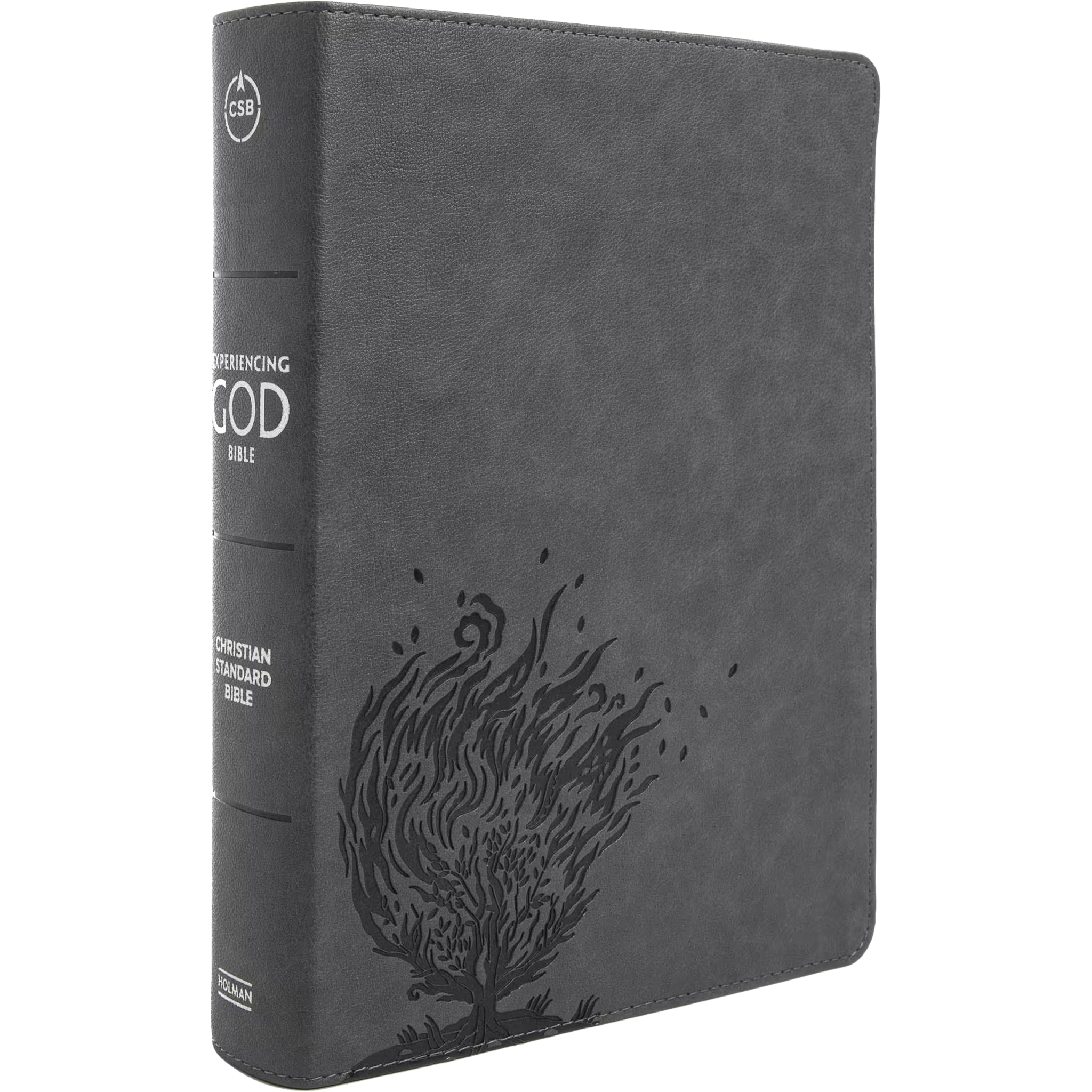 CSB Experiencing God Bible, LeatherTouch