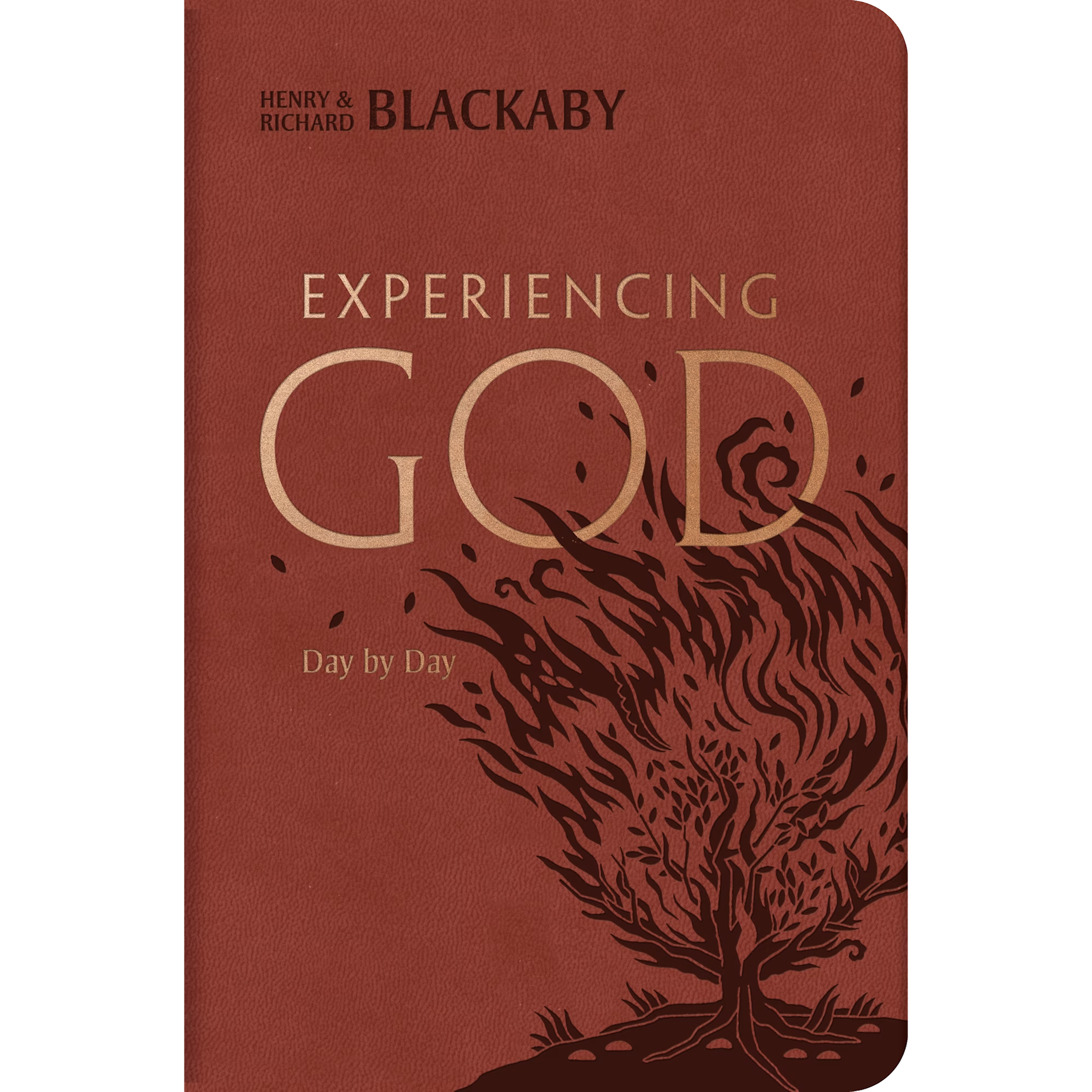 Experiencing God Day-by-Day (Leather Touch Edition)