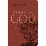 Experiencing God Day-by-Day (Leather Touch Edition)