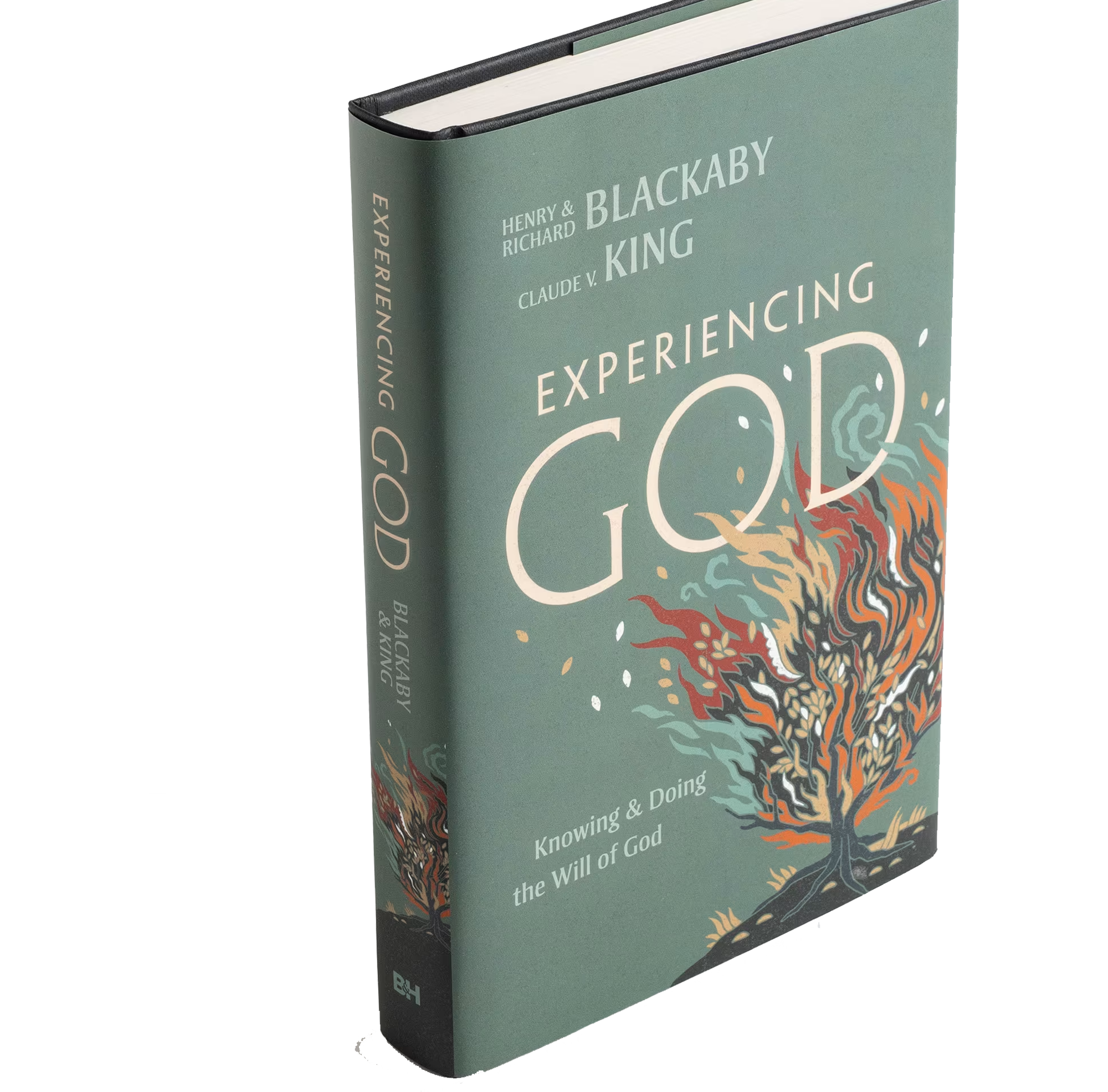 Experiencing God (Hardback) - 2021 Edition – blackabystore.org