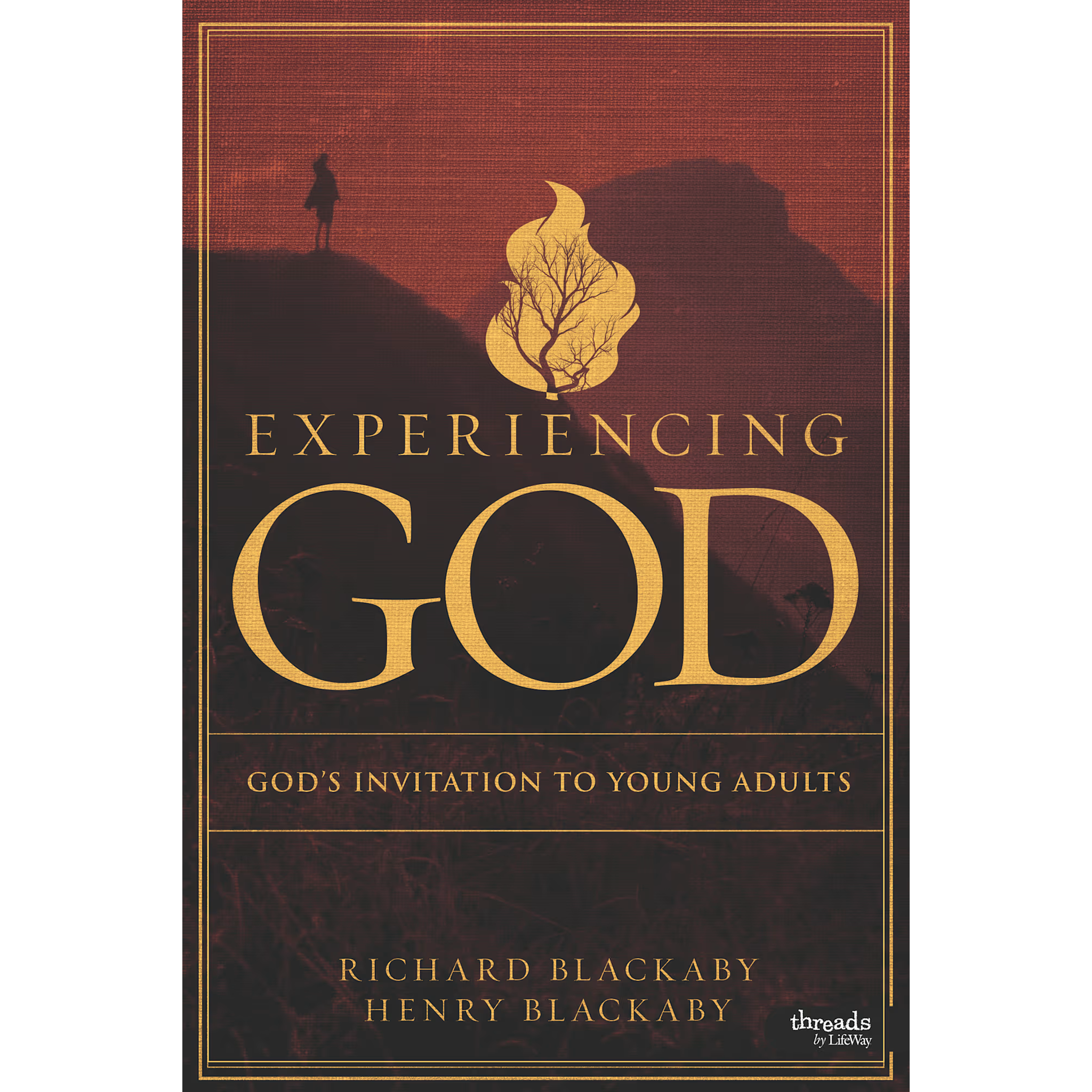 Experiencing God: God's Invitation to Young Adults - Workbook