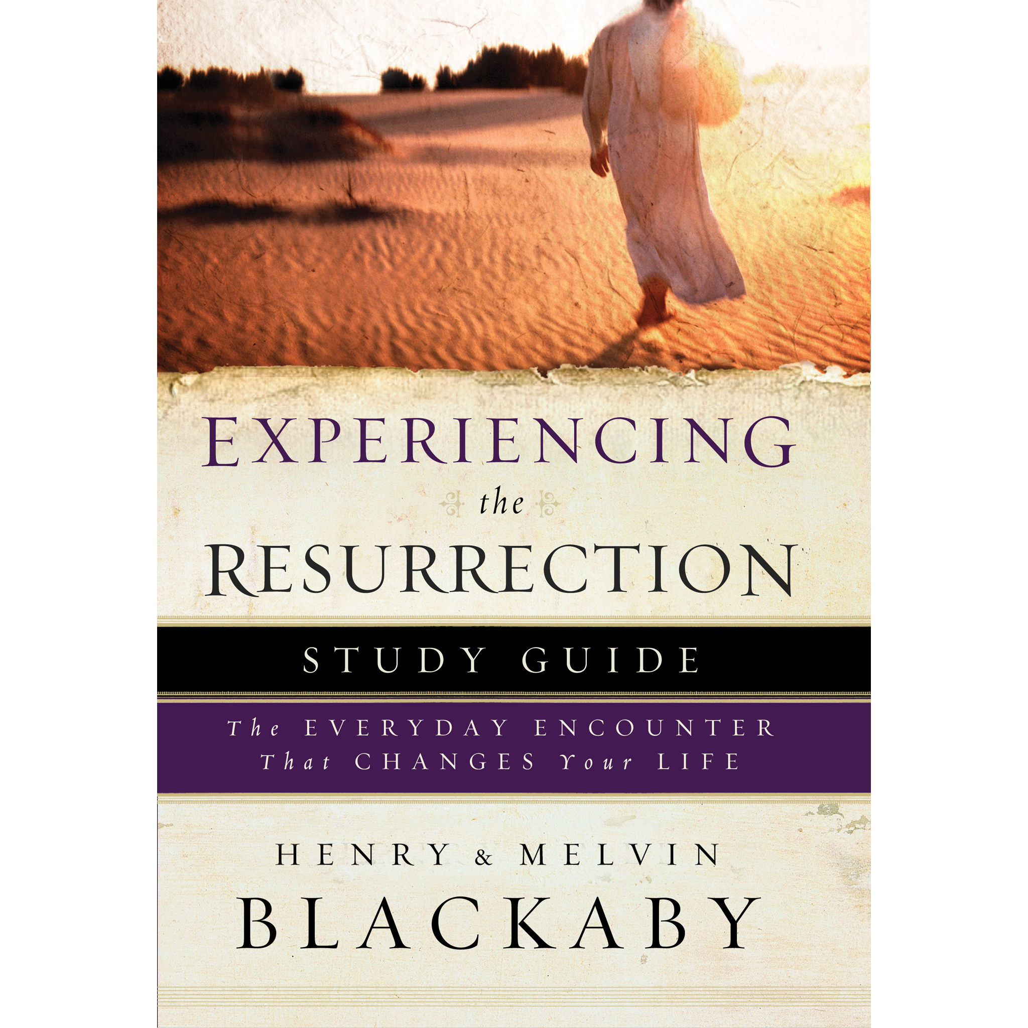 Experiencing the Resurrection Study Guide (Paperback)