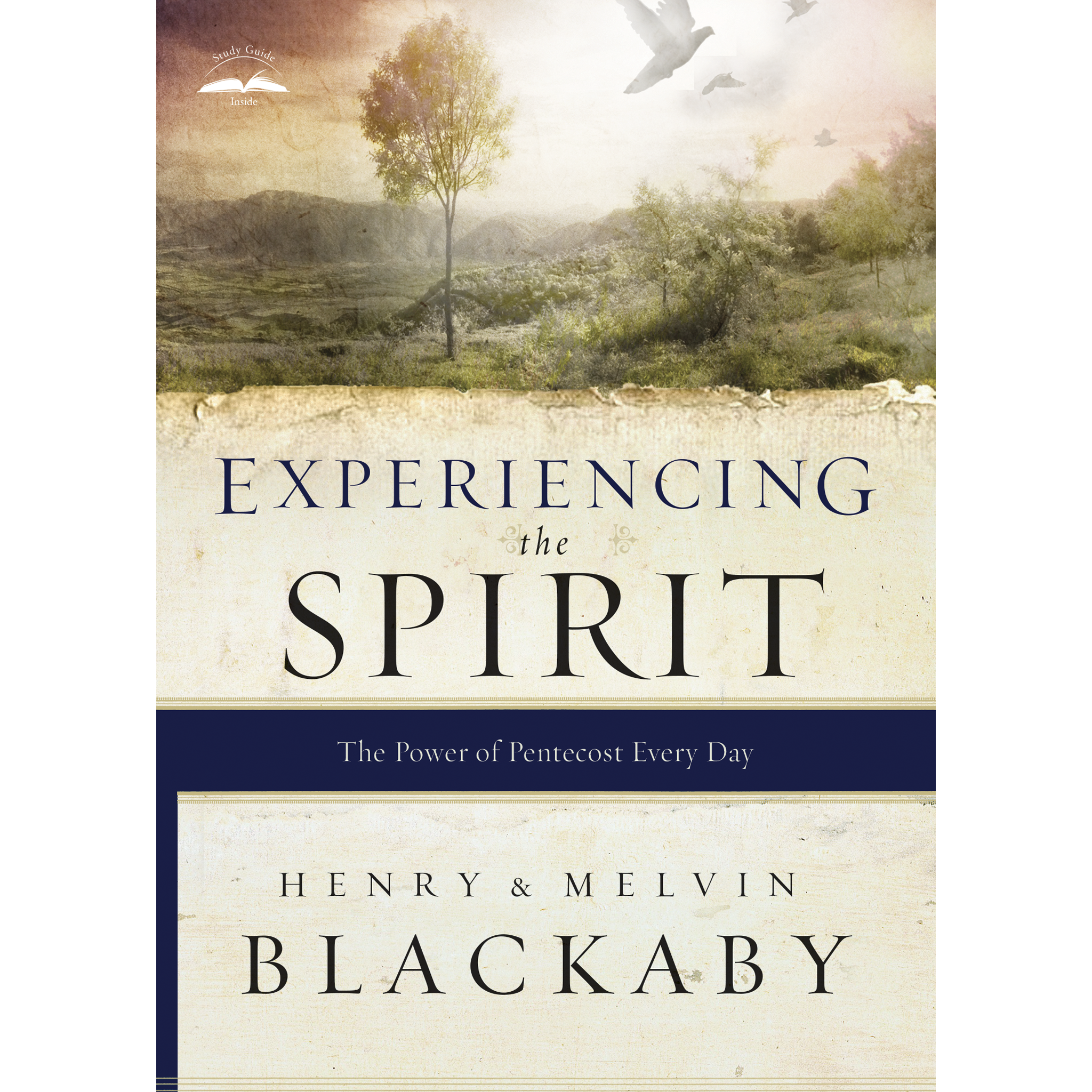 Experiencing the Spirit: The Power of Pentecost Every Day (Paperback)