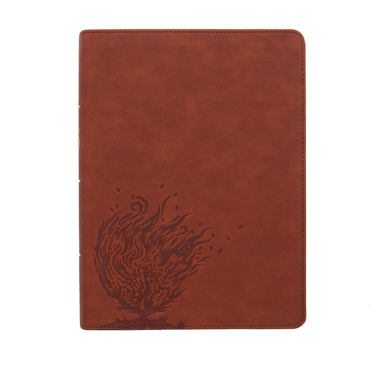 CSB Experiencing God Bible, LeatherTouch – blackabystore.org