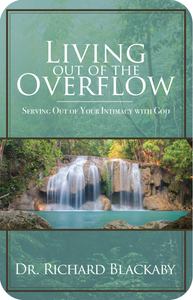 Living Out of the Overflow ebook