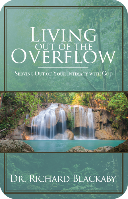 Living Out of the Overflow ebook