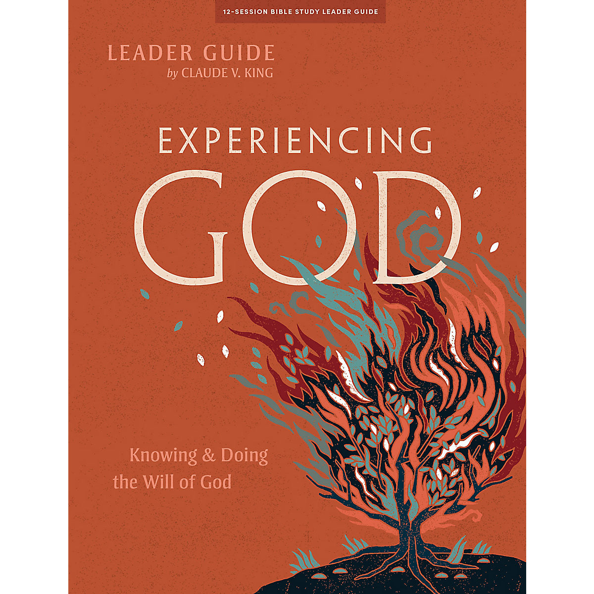 Experiencing God Leader Guide Paperback Blackabystore